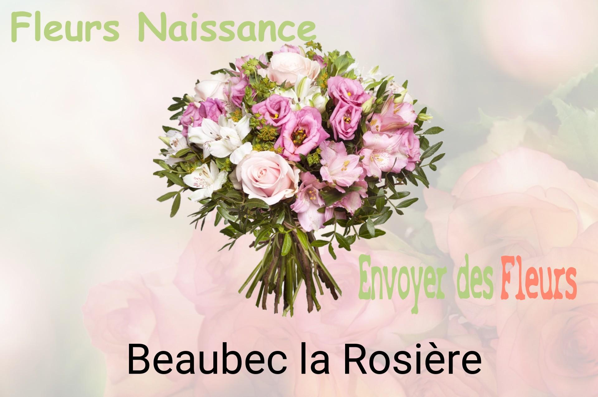 Bouquet de fleurs de naissance livré à Beaubec-la-Rosière