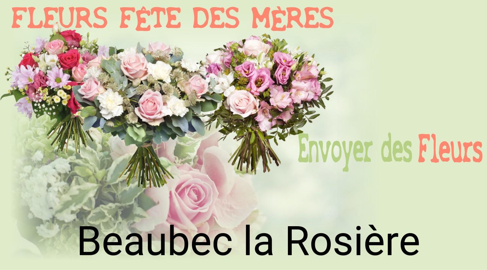 Bouquet de Fête des Mères livré à Beaubec-la-Rosière